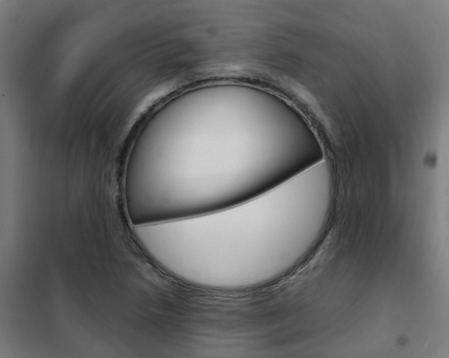 X0000102251218200807250854