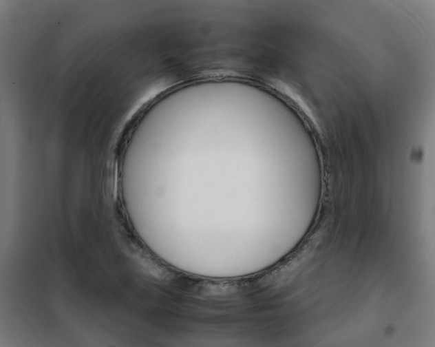 X0000102251219200807250854