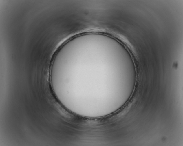 X0000102251220200807250854