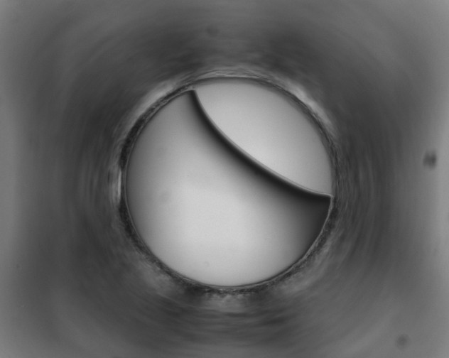 X0000102251221200807250854