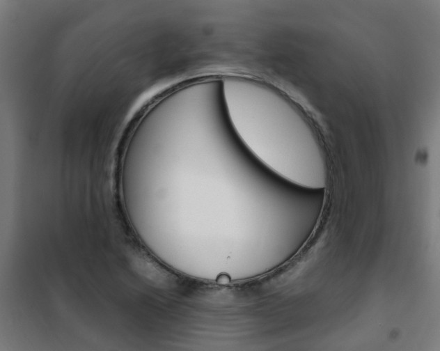 X0000102251222200807250854
