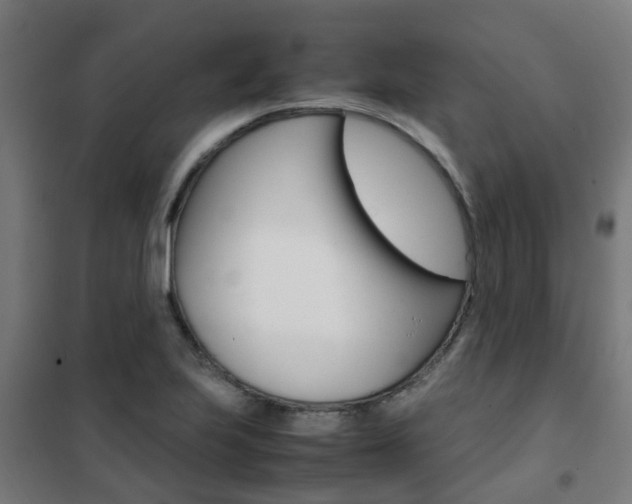 X0000102251223200807250854