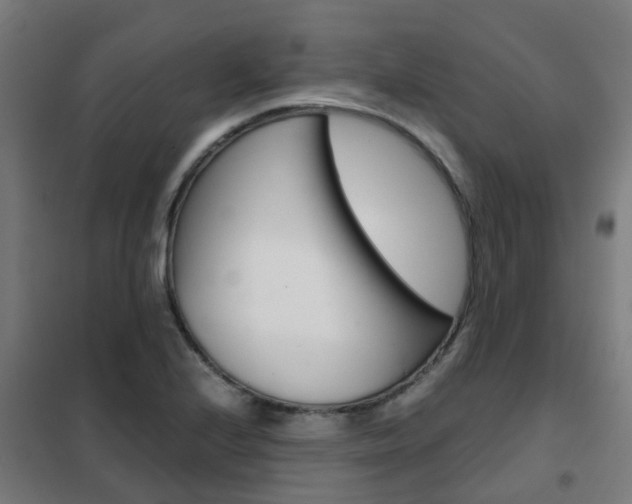 X0000102251224200807250854