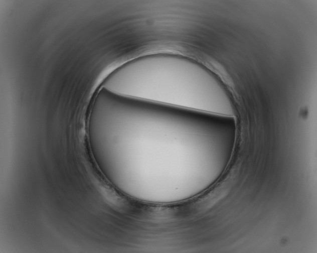 X0000102251226200807250854
