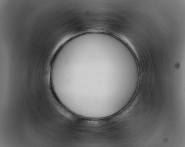 X0000102251227200807250854