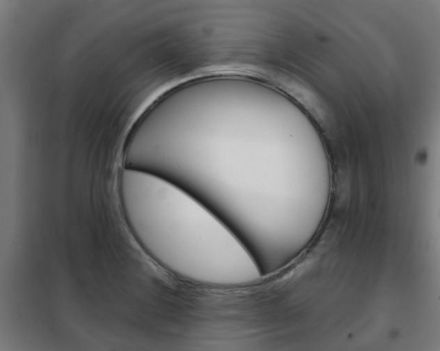 X0000102251228200807250854