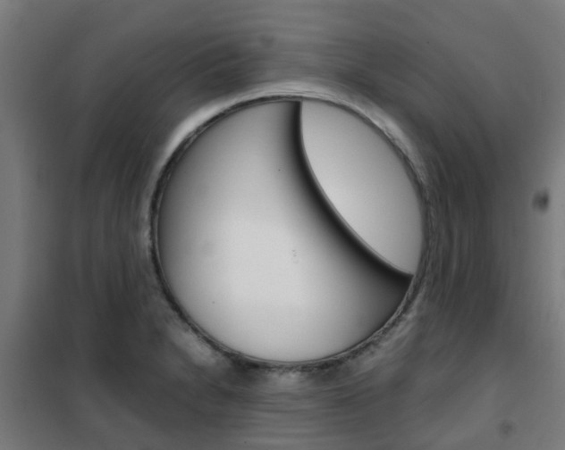 X0000102251230200807250854