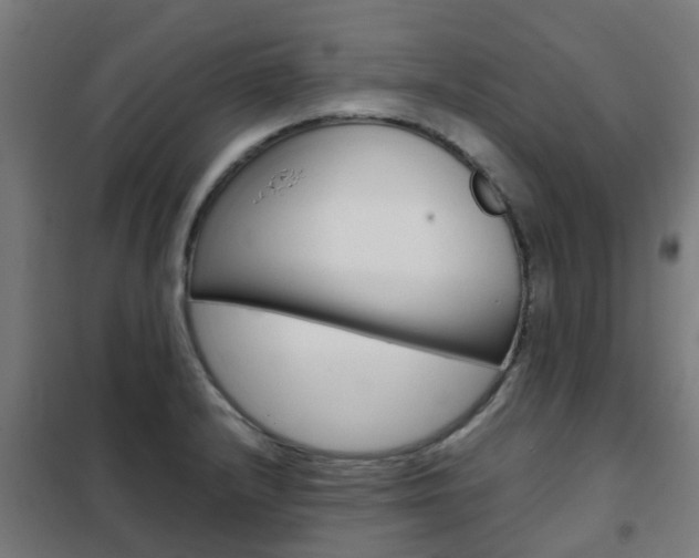 X0000102251232200807250854