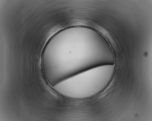 X0000102251234200807250854
