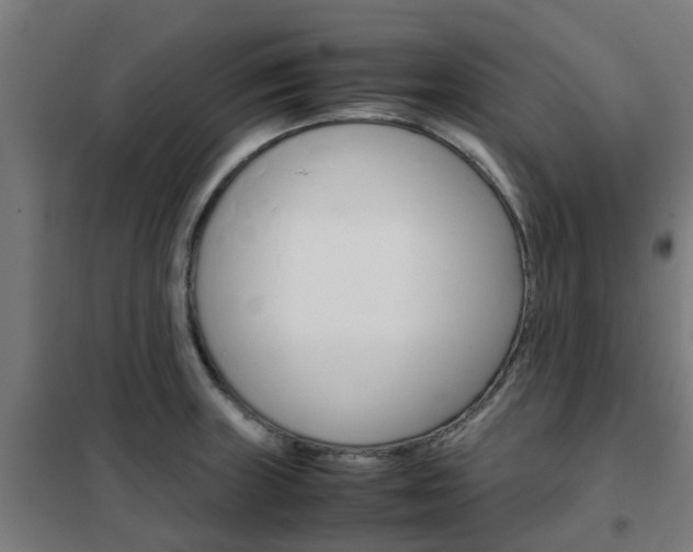 X0000102251235200807250854
