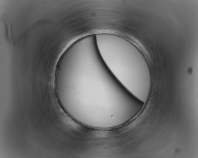 X0000102251236200807250854