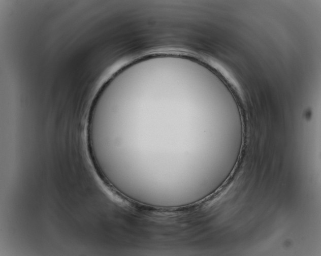 X0000102251237200807250854