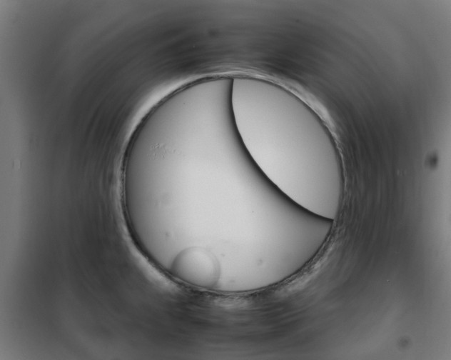 X0000102251239200807250854