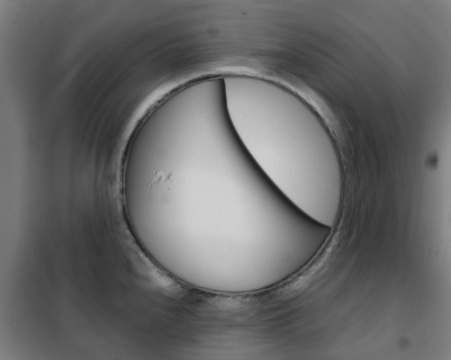 X0000102251240200807250854