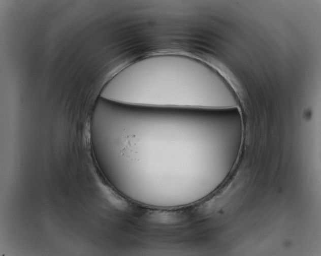 X0000102251241200807250854