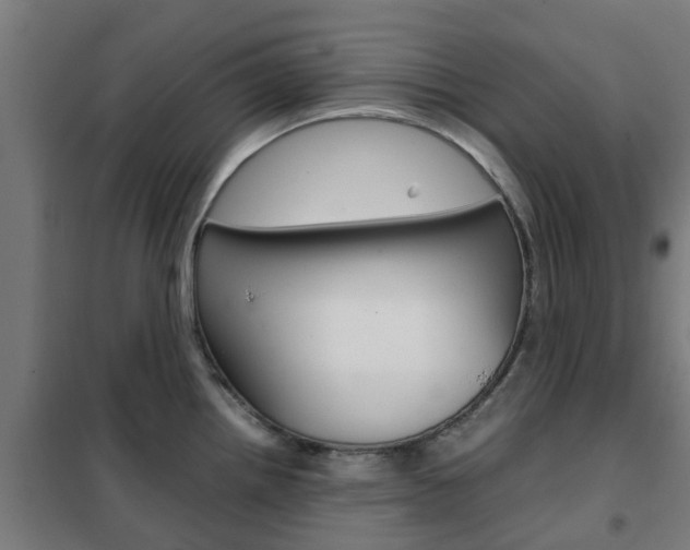 X0000102251242200807250854