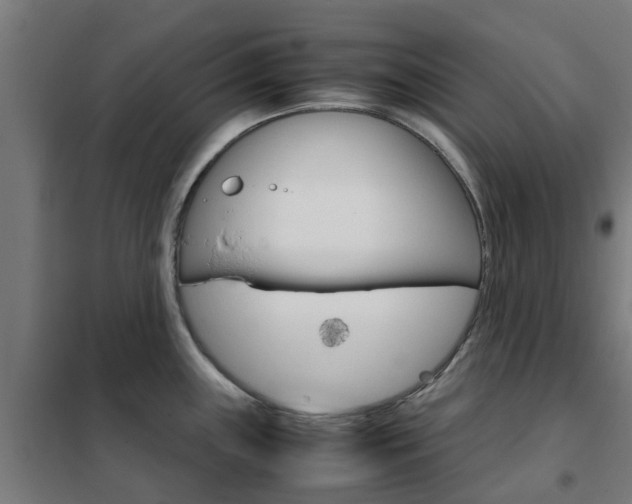 X0000102251243200807250854
