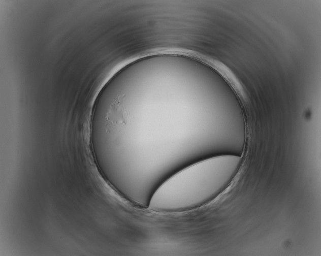 X0000102251244200807250854