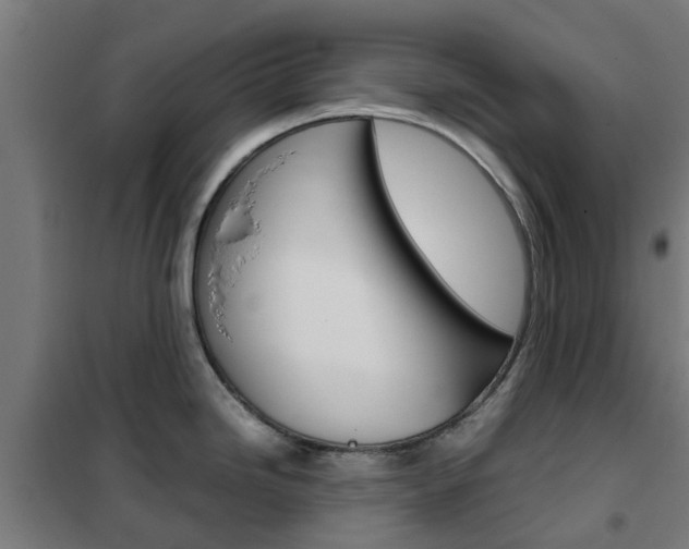 X0000102251246200807250854