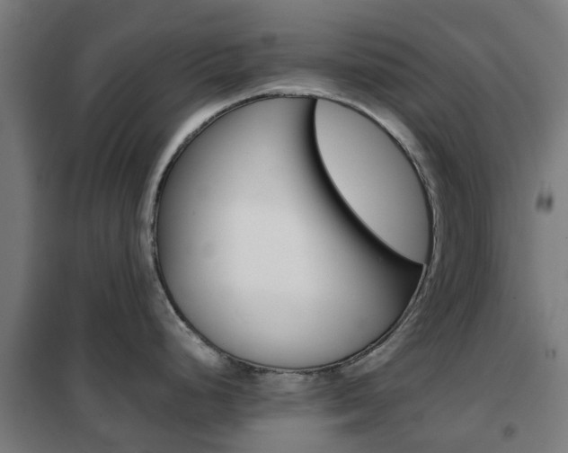 X0000102251248200807250854