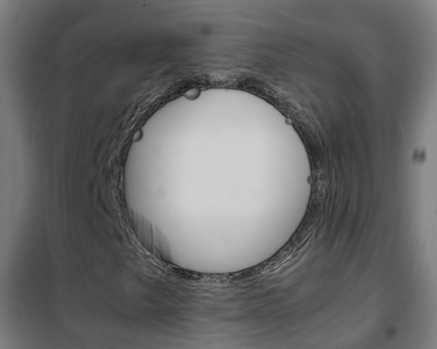 X0000102251249200807250853