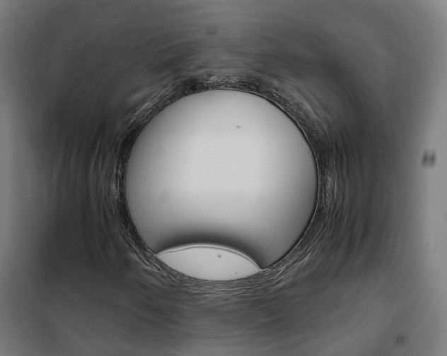 X0000102251250200807250853
