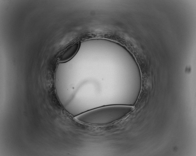 X0000102251253200807250853