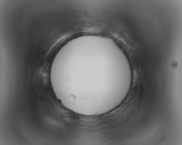 X0000102251254200807250853