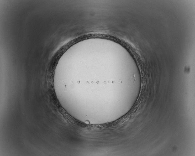 X0000102251255200807250853