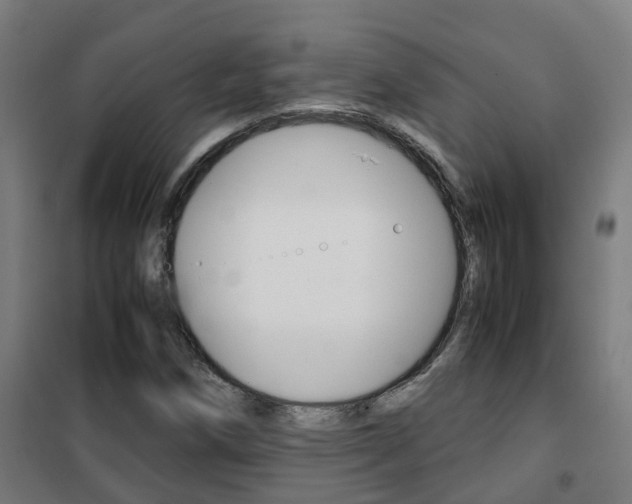 X0000102251258200807250853