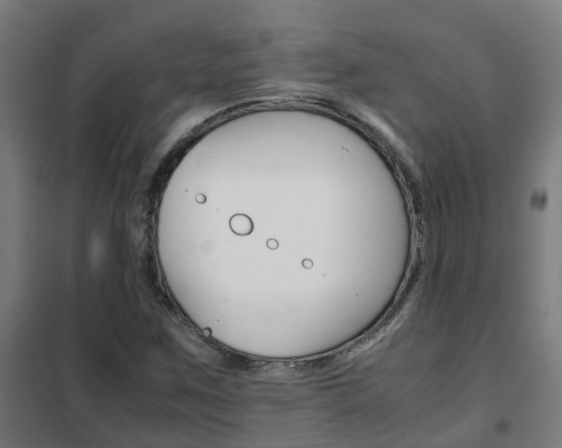 X0000102251259200807250853