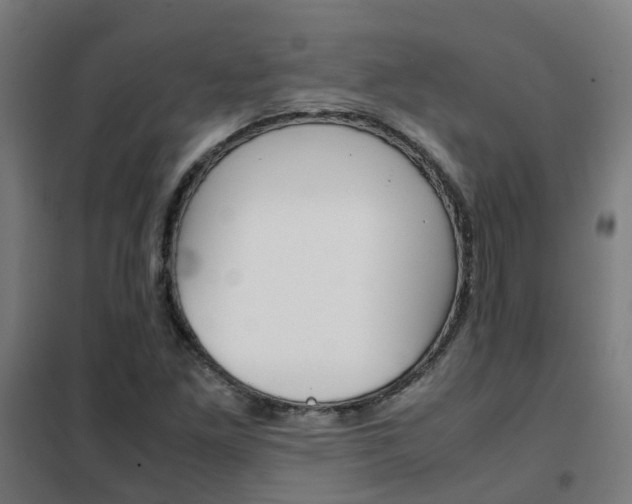 X0000102251261200807250853