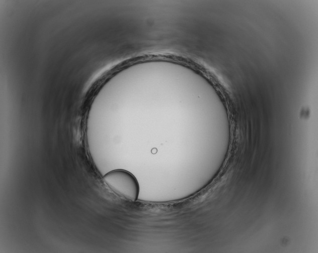 X0000102251262200807250853