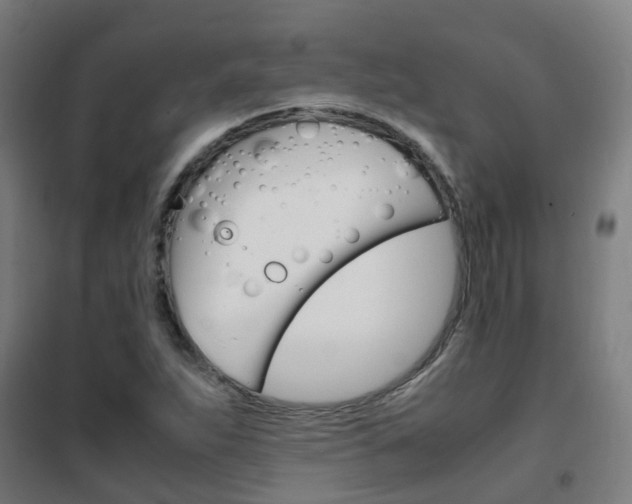 X0000102251263200807250853