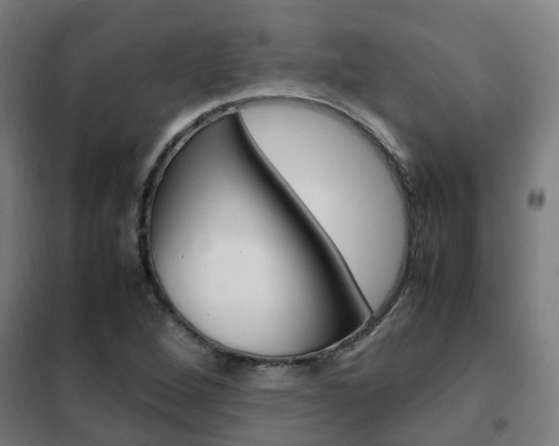 X0000102251264200807250853