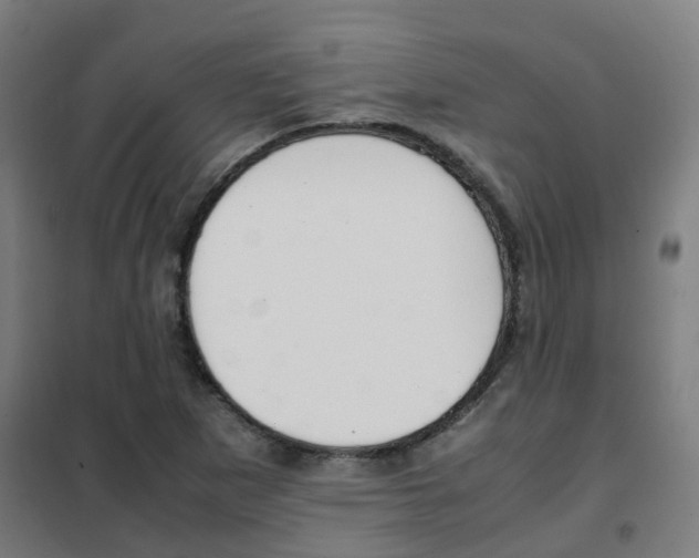 X0000102251265200807250853