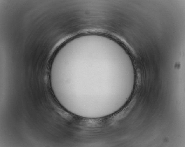 X0000102251266200807250853