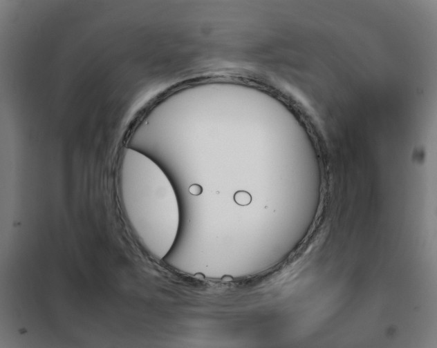 X0000102251267200807250853