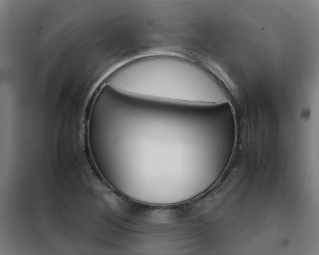 X0000102251268200807250853