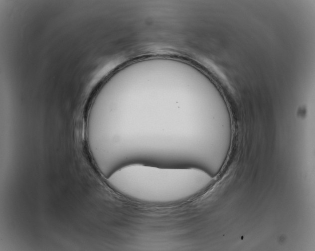 X0000102251269200807250853