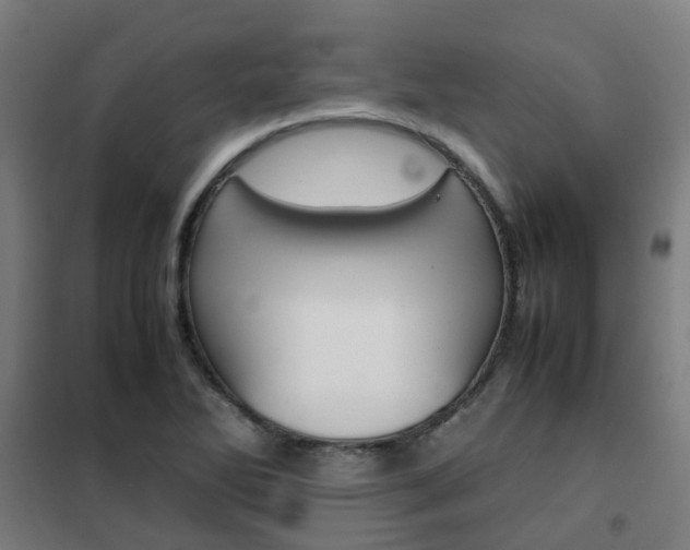 X0000102251270200807250853