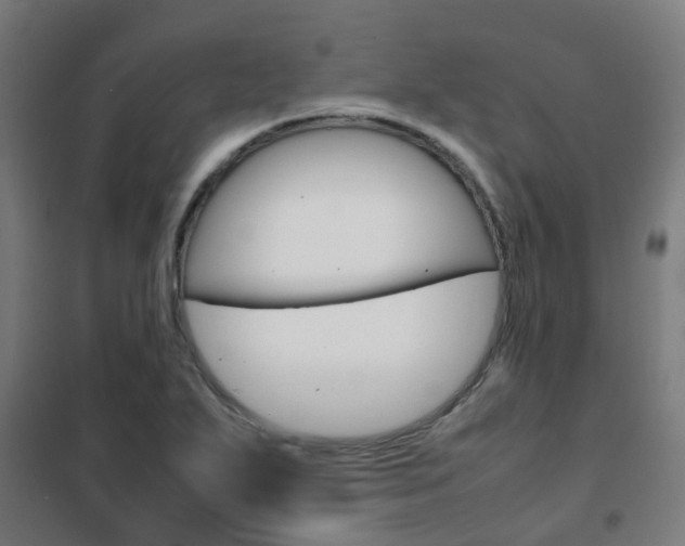 X0000102251271200807250853