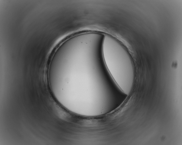X0000102251272200807250853