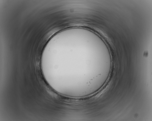 X0000102251273200807250853