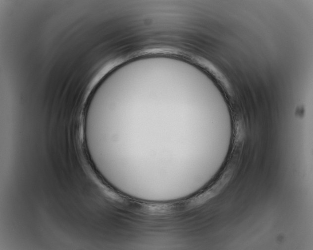 X0000102251274200807250853