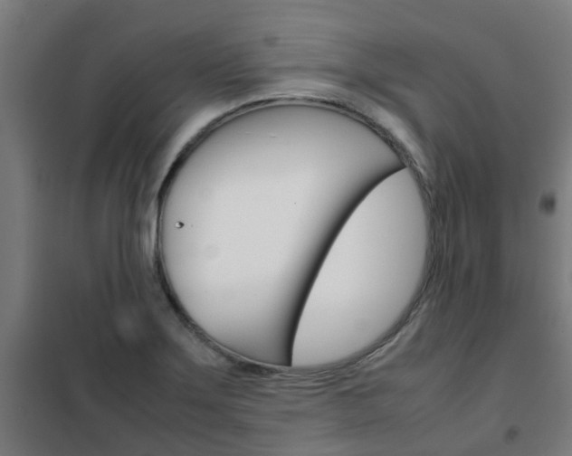 X0000102251275200807250853