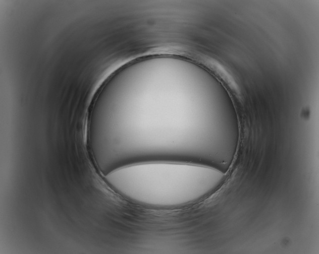 X0000102251276200807250853