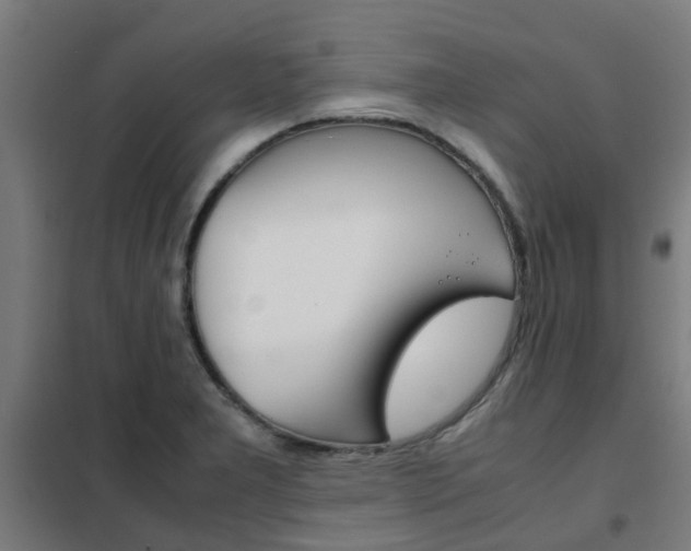 X0000102251277200807250853