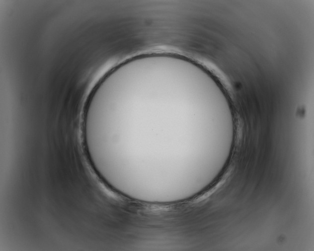 X0000102251278200807250853