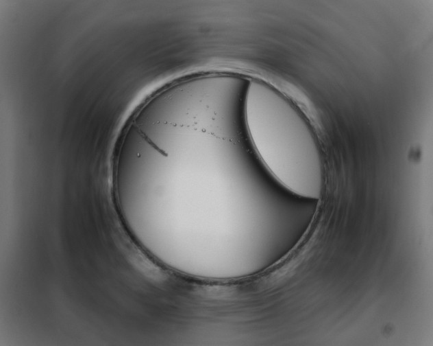 X0000102251280200807250853